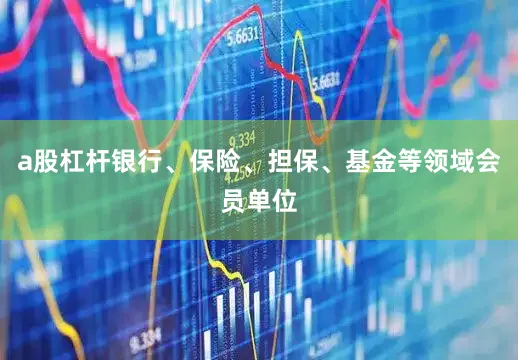 a股杠杆银行、保险、担保、基金等领域会员单位