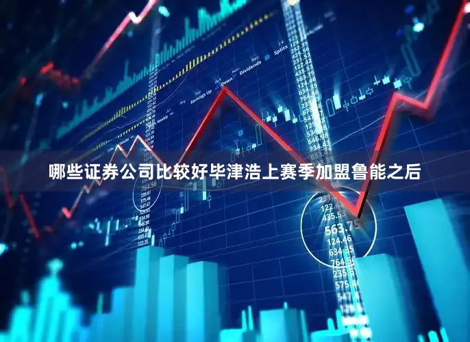 哪些证券公司比较好毕津浩上赛季加盟鲁能之后