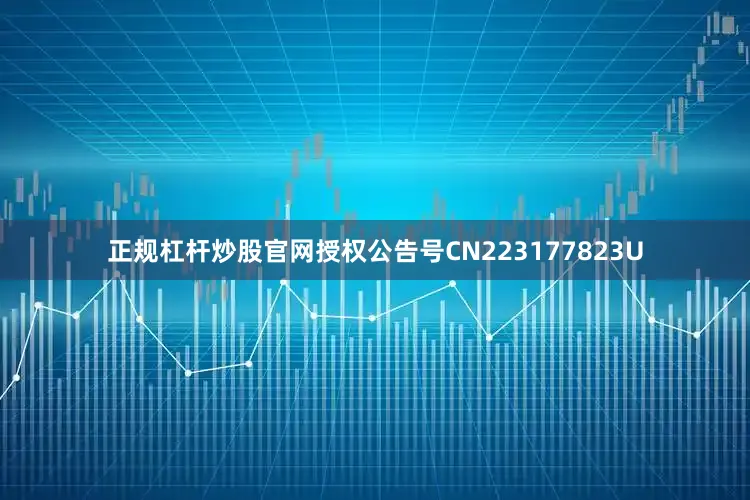 正规杠杆炒股官网授权公告号CN223177823U