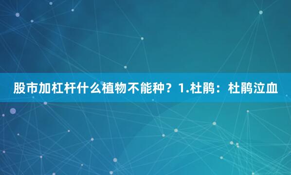 股市加杠杆什么植物不能种？1.杜鹃：杜鹃泣血
