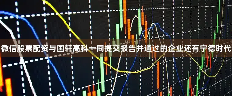 微信股票配资与国轩高科一同提交报告并通过的企业还有宁德时代